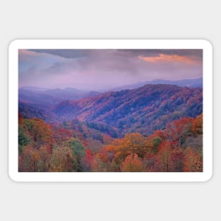 Autumn Deciduous Forest Great Smoky Mountains National Park Sticker